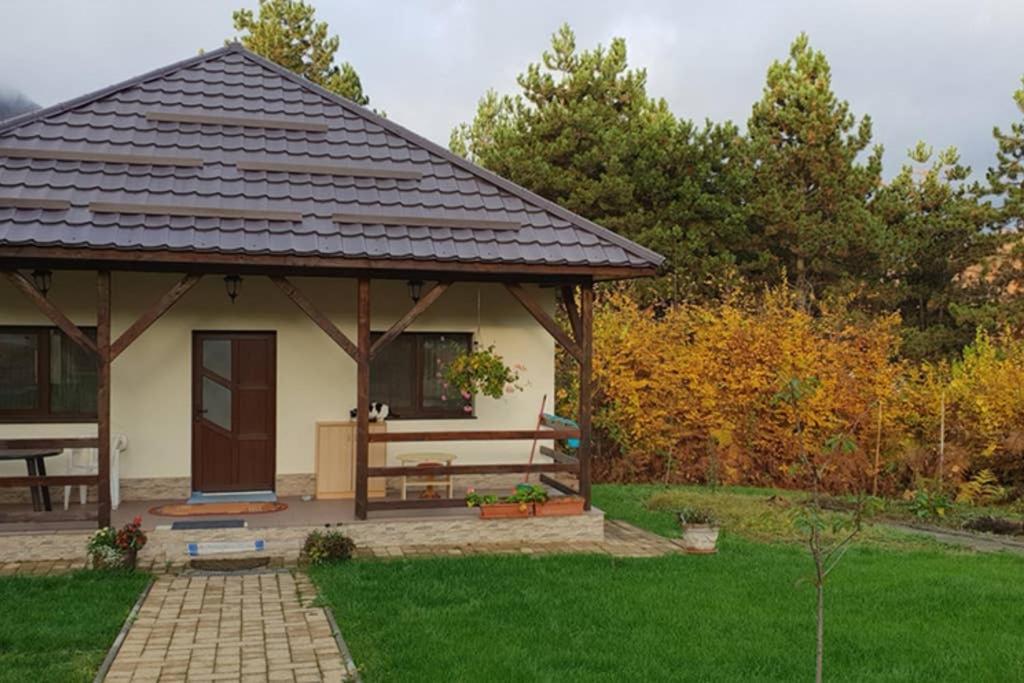 Limpedea Green House Baia Mare Exterior foto