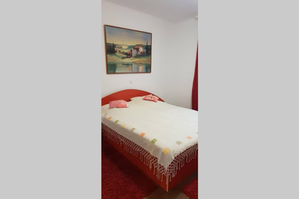 Limpedea Green House Baia Mare Exterior foto