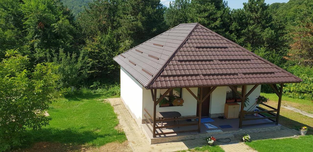 Limpedea Green House Baia Mare Exterior foto