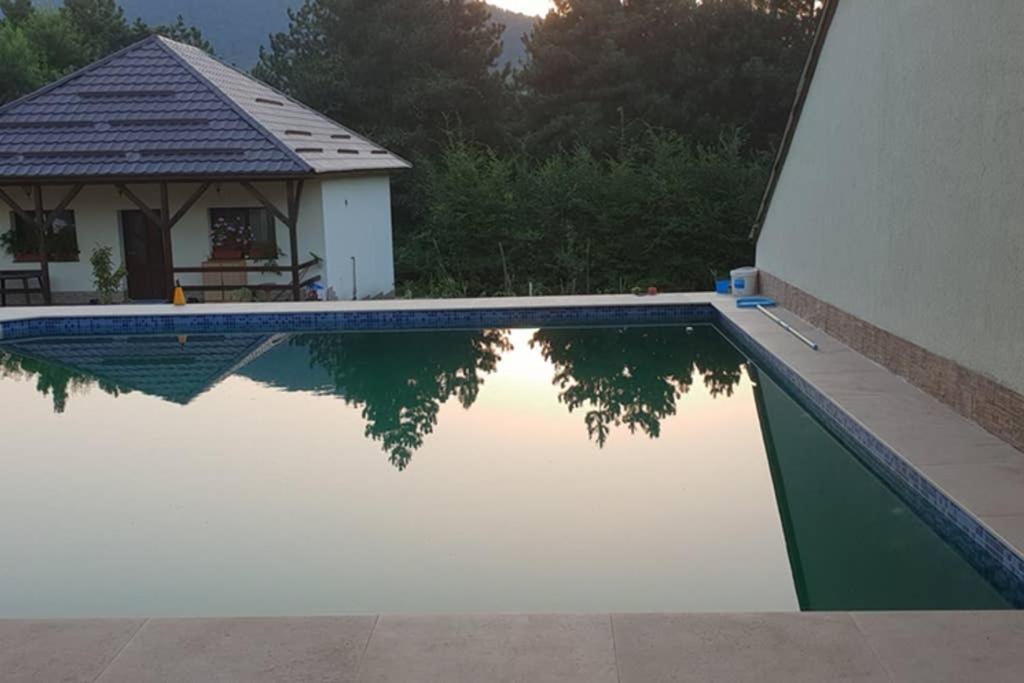 Limpedea Green House Baia Mare Exterior foto
