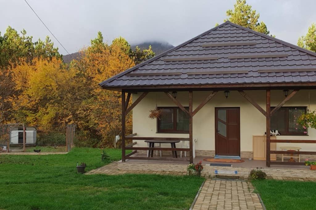 Limpedea Green House Baia Mare Exterior foto