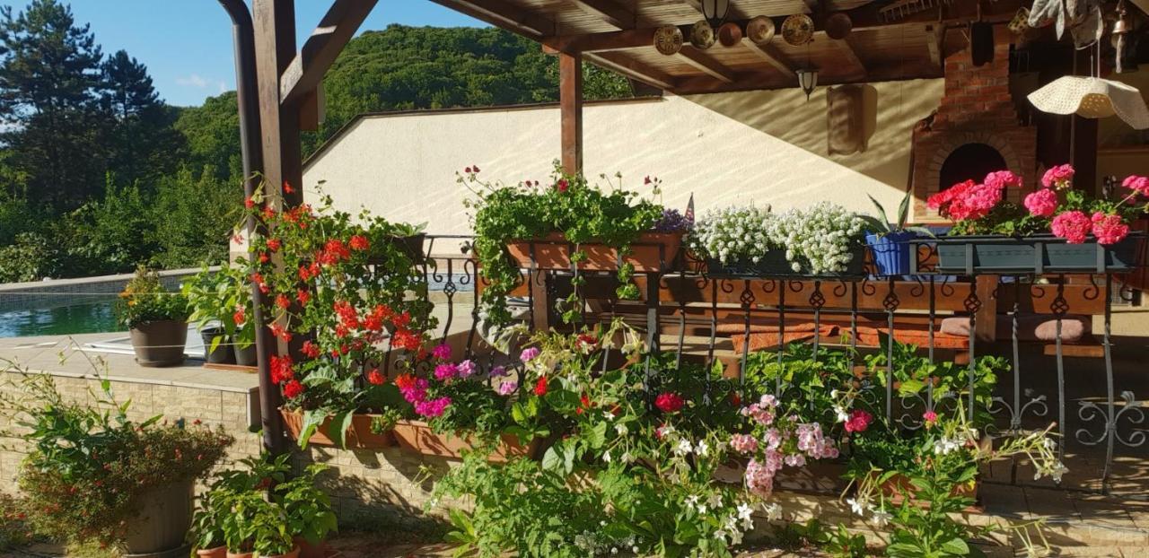 Limpedea Green House Baia Mare Exterior foto